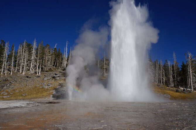 Half Day Private in Yellowstone Geyser Basin Tour - An In-Depth Look at the Yellowstone Geyser Basin Tour