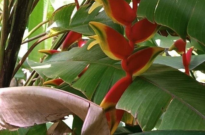 Half Day Private Island Adventure in Grenada - Final Thoughts: Is It Worth It?