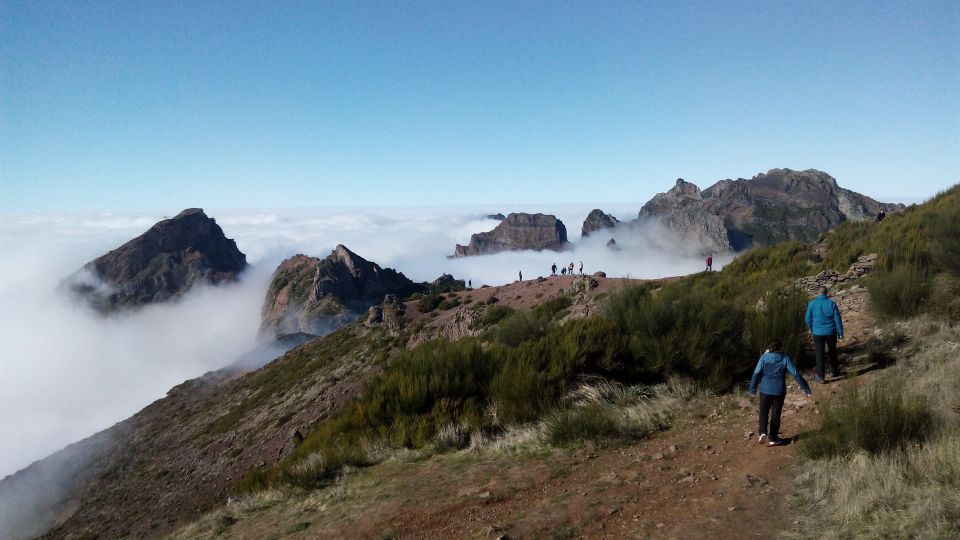 Half Day Private Jeep Tour - Adventure and Highlights