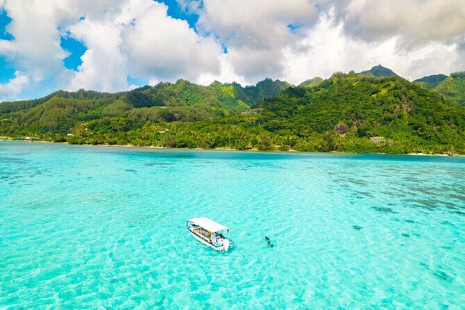 Half Day / Private Lagoon Adventure in Mo'orea - A Closer Look at the Moorea Lagoon Adventure