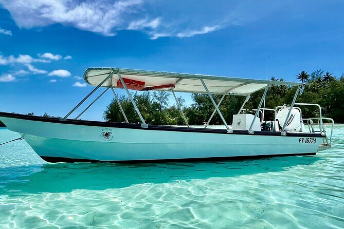 Half Day / Private Lagoon Adventure in Mo'orea - Final Thoughts: Is This Tour for You?