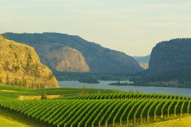 Half-Day Private Lake Country Wine Tour from Kelowna - Introduction