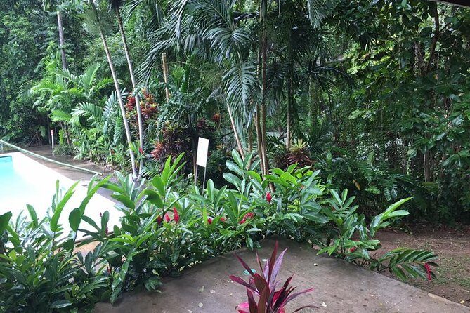 Half-Day Private Martha Brae Rafting Tour from Montego Bay - Who Will Love This Tour?