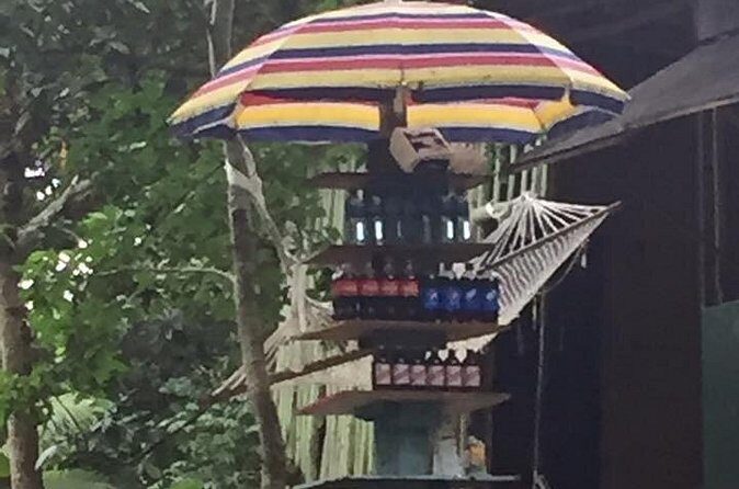 Half-Day Private Martha Brae Rafting Tour from Montego Bay - Final Thoughts