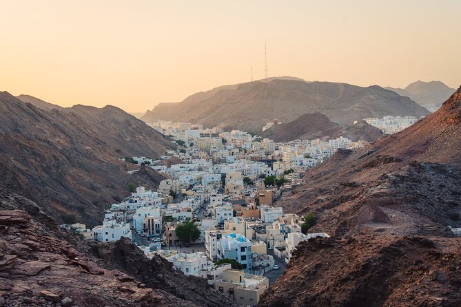 Half-Day Private Muscat City Tour - Customer Feedback Insights
