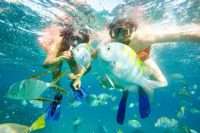 Half-Day Private Snorkel Sailing Adventure in Cabo San Lucas - Who Is This Tour Best For?  