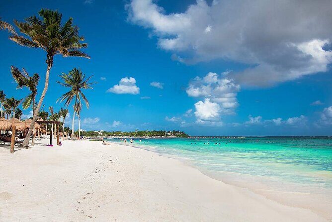 Half Day Private Snorkeling with Turtles and Majestic Cenotes - The Practical Side: Tips and Considerations