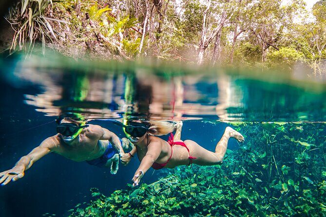 Half Day Private Snorkeling with Turtles and Majestic Cenotes - The Sum Up