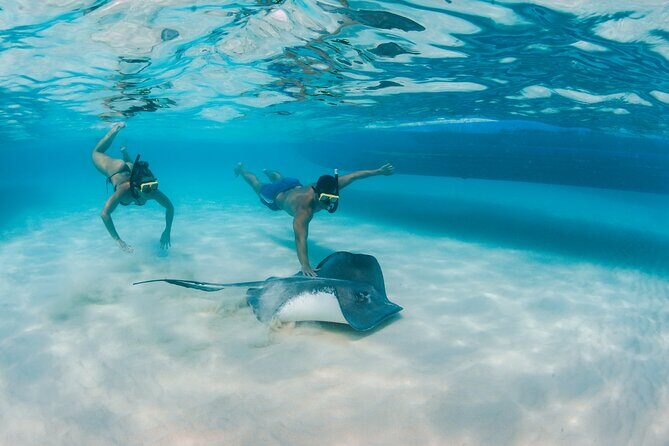 Half-Day Private Stingray City Charter - Grand Cayman - BTC - Frequently Asked Questions