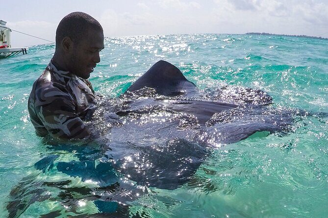 Half-Day Private Stingray City Charter in Cayman Islands - What You Can Expect from the Tour