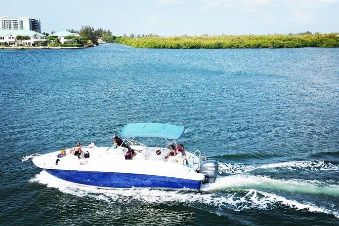 Half-Day Private Stingray City Charter in Cayman Islands - Why Choose This Tour?