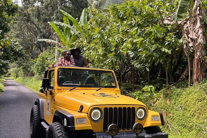 Half Day Private Tour in St. Lucia Jeep Wrangler - Key Points