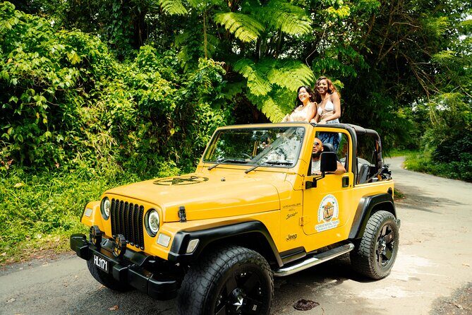 Half Day Private Tour in St. Lucia Jeep Wrangler - Exploring the Itinerary in Detail