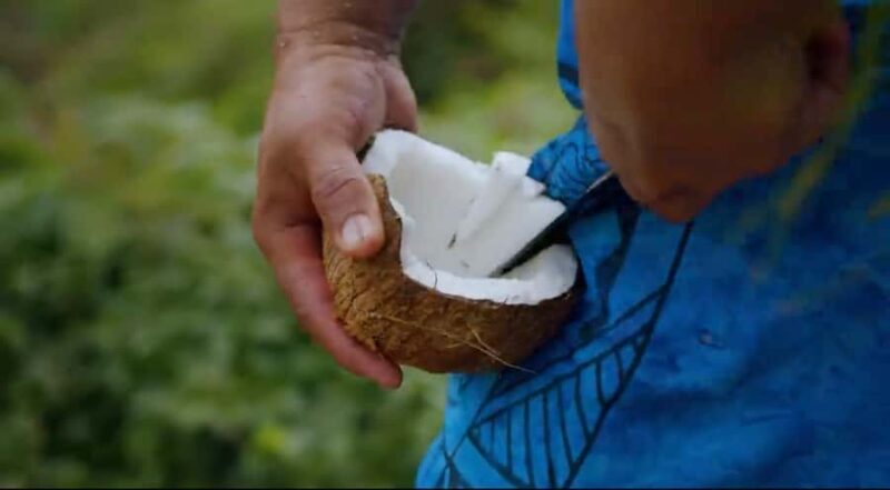 Half day Private tour of Moorea Safari Albert Pick up hotel - Key Points