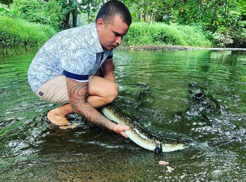 Half day Private tour of Moorea Safari Albert Pick up hotel - Authenticity and Expert Guidance