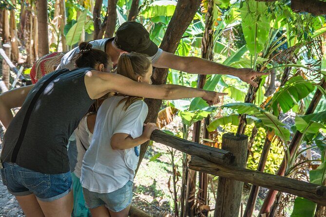 Half Day Private Tour to Botanical Garden in Chania - Key Points  