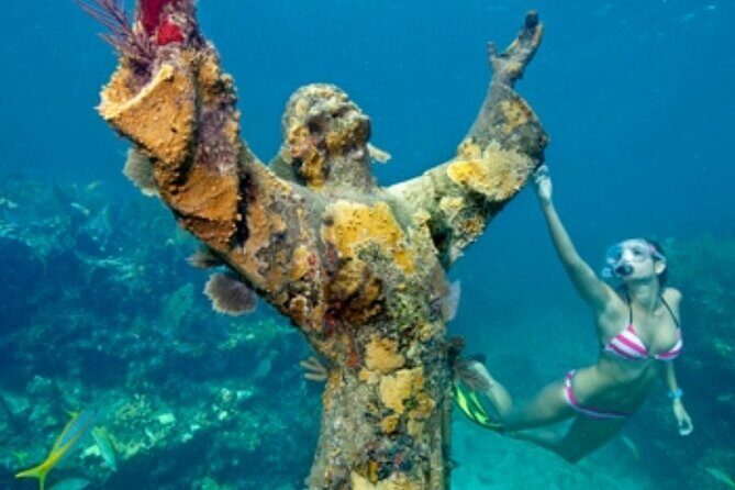 Half Day Private Tour to Islamorada Alligator Reef and Sandbar - Who Should Consider This Tour?