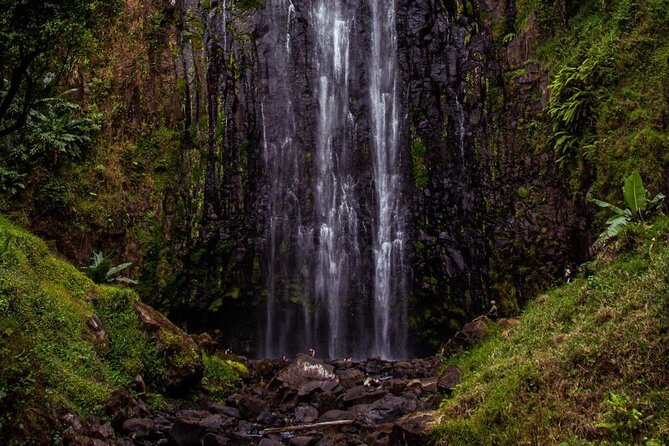 Half-Day Private Tour to Materuni Waterfalls and Coffee Excursion - Pricing Information