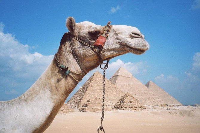 Half-Day Private Tour to Pyramids of Giza and Sphinx - Pricing Details