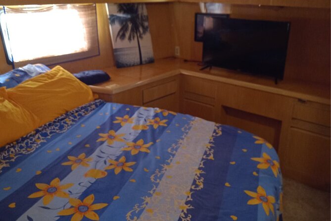 Half Day Private Yacht Cruise & Snorkel - Customer Feedback