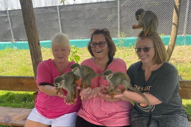 Half Day Puerto Plata City Tour and Monkey Home Visit - Key Points