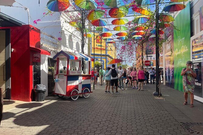 Half Day Puerto Plata City Tour and Monkey Home Visit - Who Will Love This Tour?