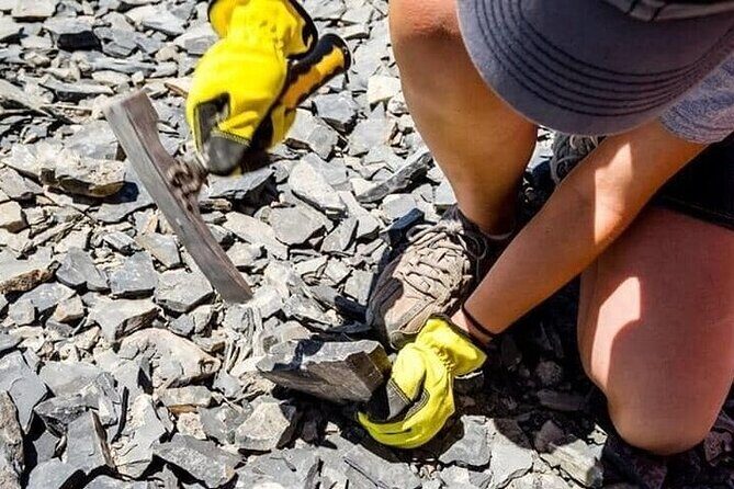 Half Day Quarry Access - Exploring Utah’s Fossil Treasure: The Half Day Quarry Access