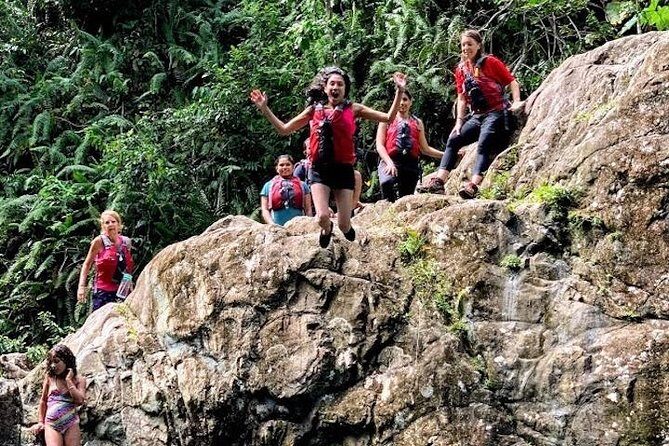 Half-Day: Rainforest and Waterslide Adventure with Transportation - The Sum Up