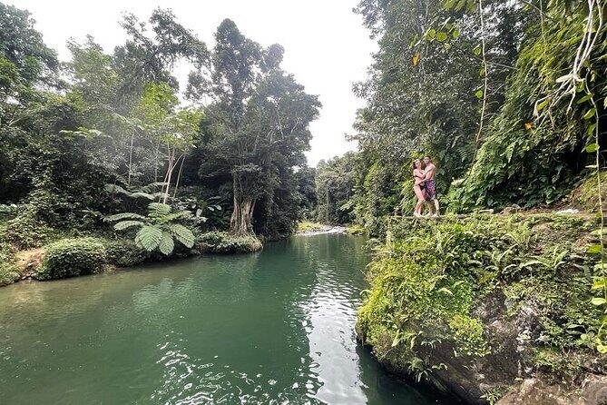 Half-Day Rainforest Tour with Transport from San Juan - Introducing the Half-Day Rainforest Tour from San Juan