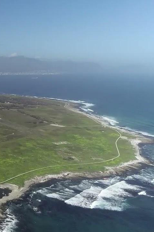 Half-Day Robben Island Tour With Private Return Transfers - Experience Highlights