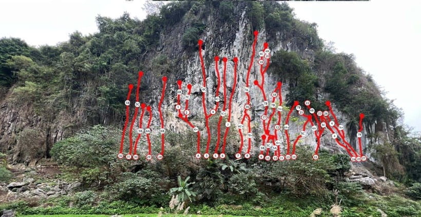 Half Day Rock Climbing on Cat Ba Island - Activity Overview