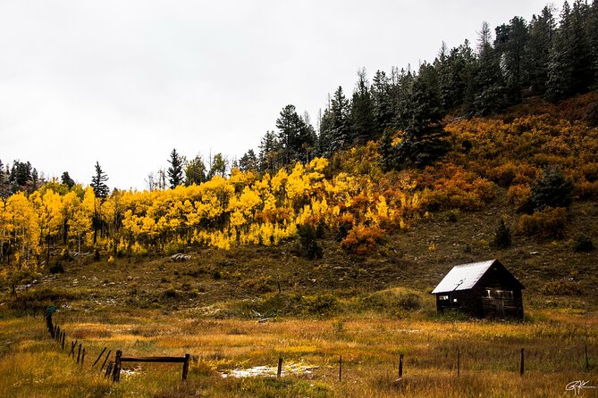 Half Day Rocky Mountain Escape - Reviews