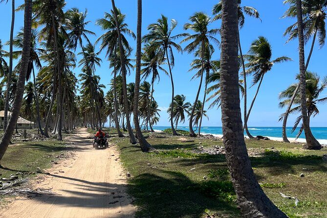 Half Day Safari and ATV or horses from Punta Cana - Key Points