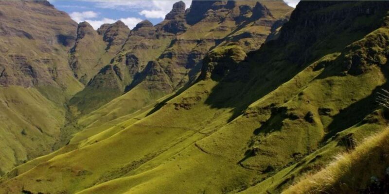 Half Day Safari Tour From Durban - Logistics and Accessibility