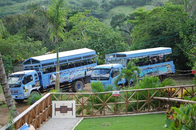 Half-Day Safari Tour from Punta Cana - Key Points