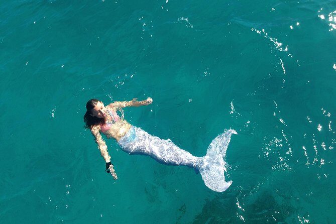 Half Day Sail and Snorkel with the Turtles - Authentic Experiences Based on Reviews