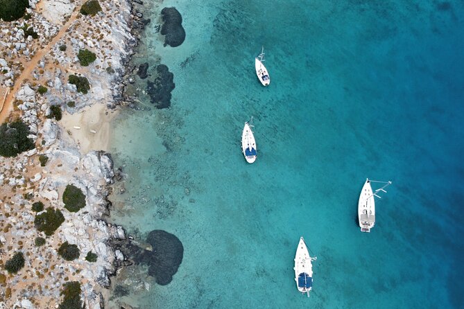 Half-Day Sailing Trips to Dia Island - Tips for a Great Trip