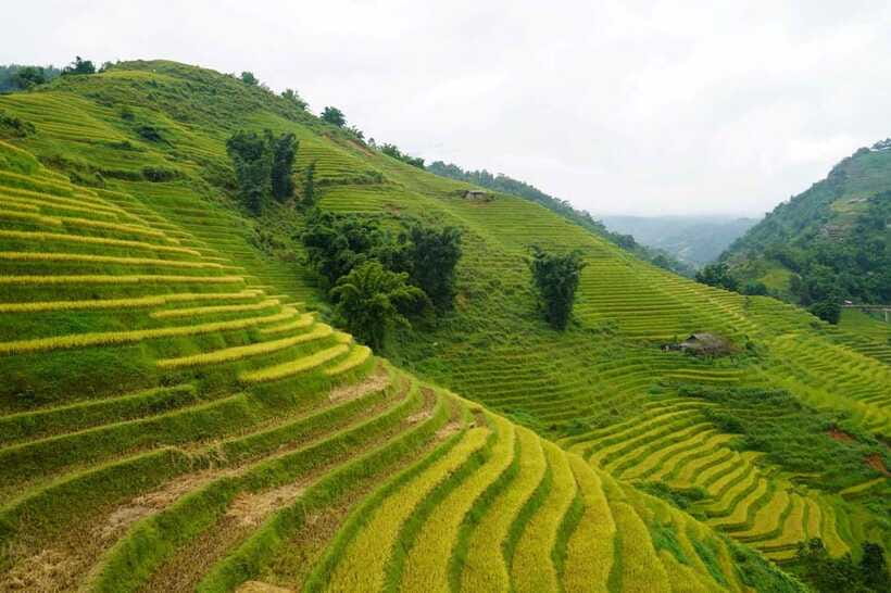 Half Day Sapa Trekking to Visit Lao Chai - Ta Van - Recommended Gear