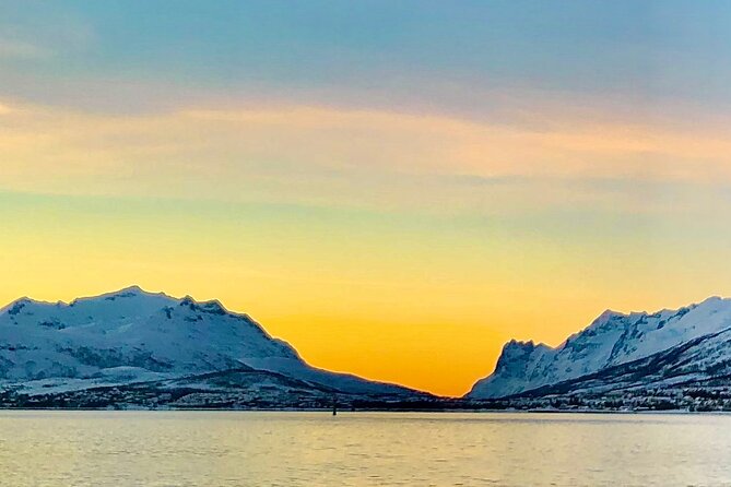 Half-Day Scenic Wildlife & Photographic Fjord Tour. - What to Expect on the Tour