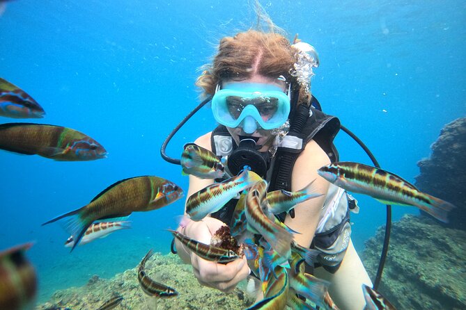 Half Day Scuba Diving @ Duden Waterfalls - Reviews and Ratings