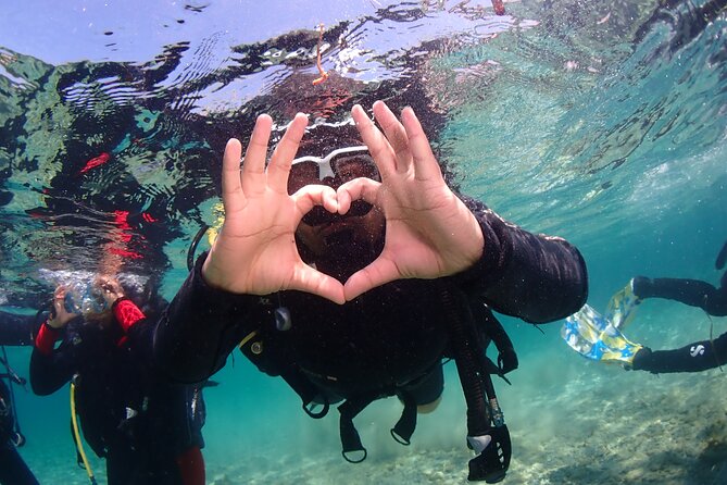 Half-Day Scuba Diving Tour - Discover Scuba Diving! - Meeting and Pickup