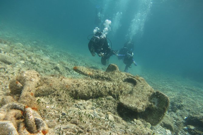 Half-Day Scuba Diving Tour - Discover Scuba Diving! - Recap
