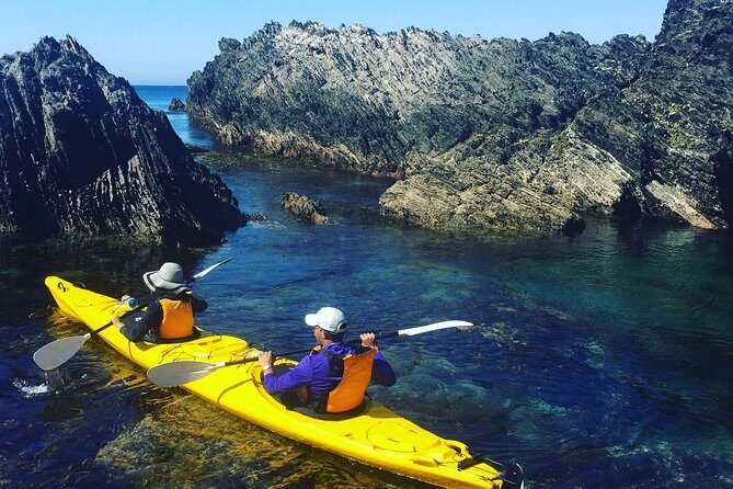 Half Day Sea Kayak Tour from Batemans Bay with Morning Tea - The Itinerary Breakdown