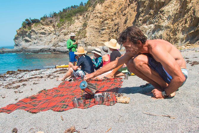 Half Day Sea Kayak Tour from Batemans Bay with Morning Tea - Pricing & Value