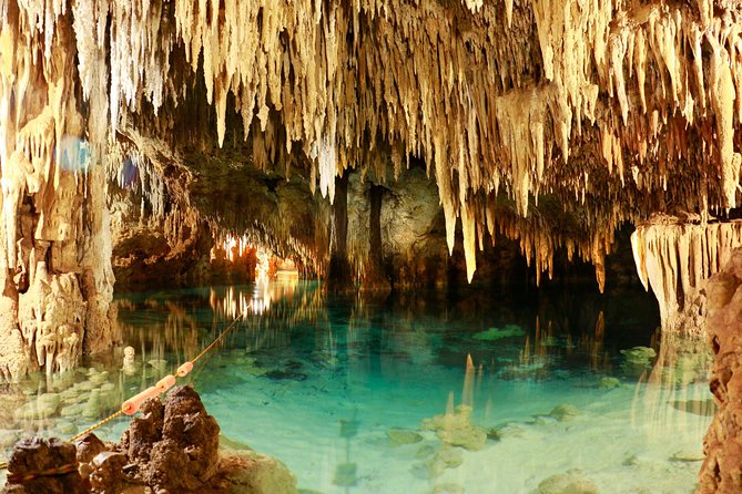 Half-Day Sea Turtle and Cenote Snorkeling Tour From Cancun & Riviera Maya - Positive Feedback