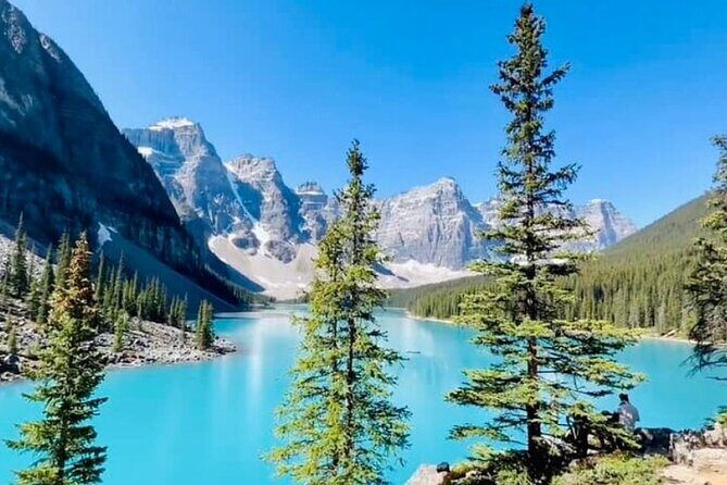 Half Day Shared Adventure to Lake Louise and Moraine Lake - Key Points
