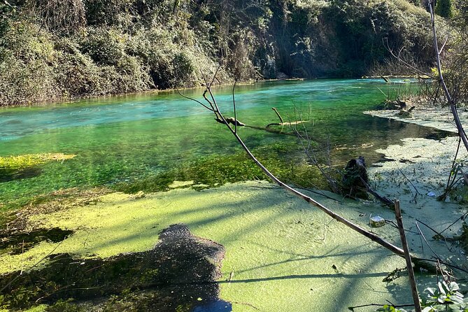Half-Day Sightseeing Tour to Gjirokastra and Blue Eye - Customer Support and Inquiries