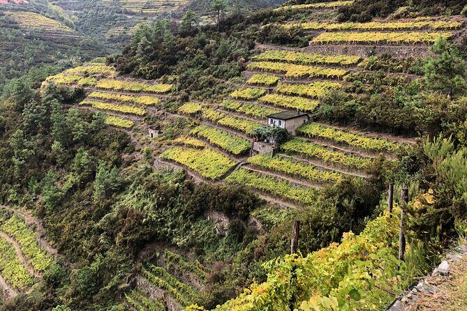 Half Day Small Group Hike to Portovenere with Local Guide - Authentic Experiences and Practical Tips