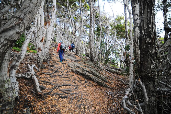Half-Day Small-Group Tierra Del Fuego National Park Tour - Booking and Cancellation Policy