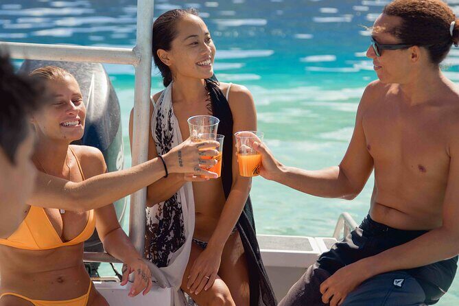 Half Day Small Group Whale Watching - Introduction: A Close Encounter with Nature in Moorea